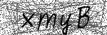 image code